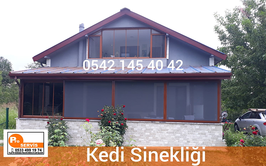 KEDİ SÜRGÜ SİNEKLİĞİ