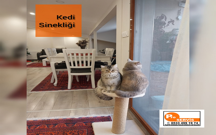 KEDİ SİNEKLİĞİ İMALATI